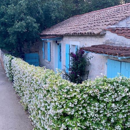 Vila Majda Tar-Vabriga Bagian luar foto
